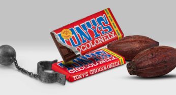 Tony’s Chocolonely: A empresa que nasceu para acabar com a escravidão na indústria do chocolate
