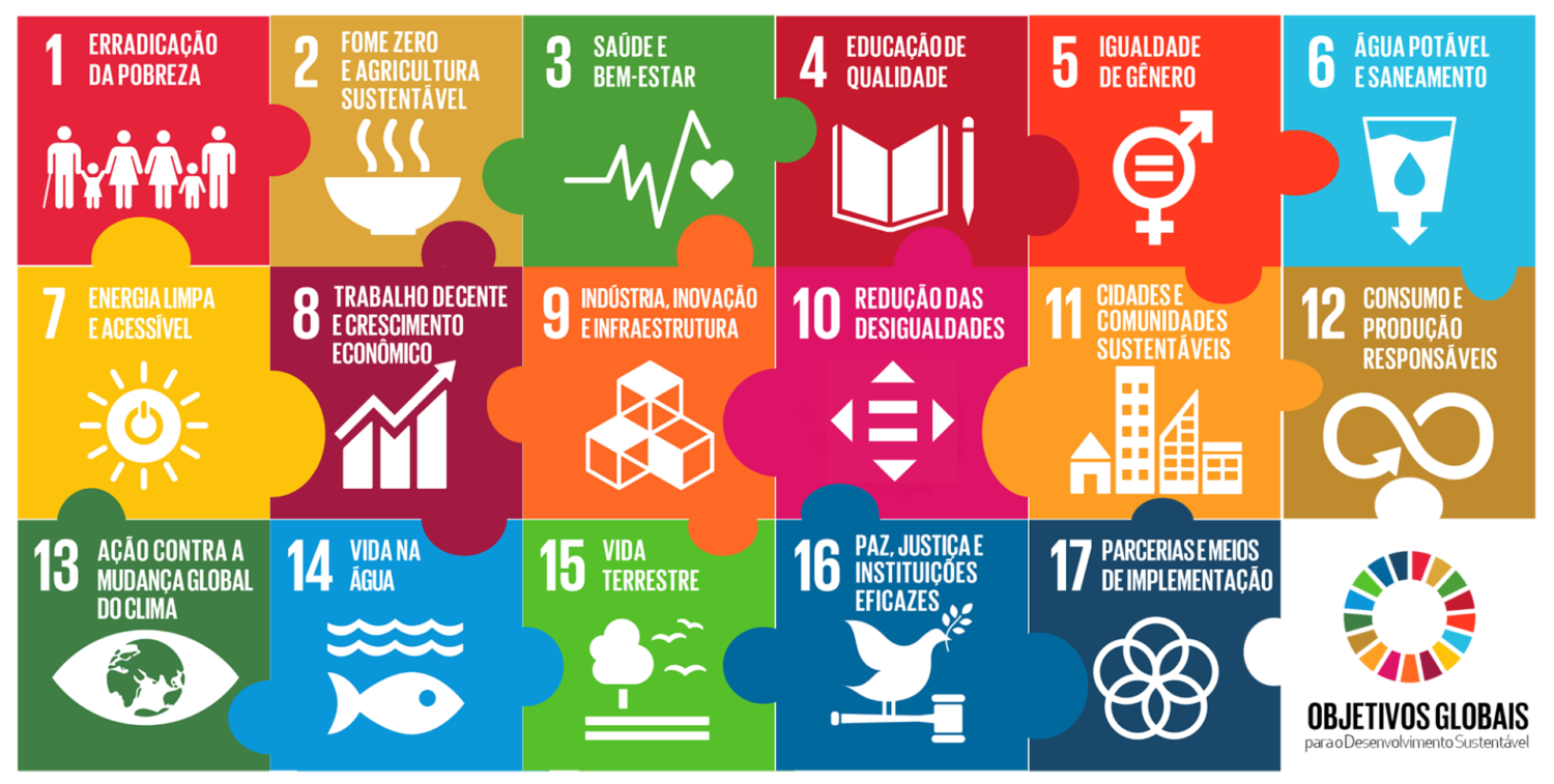 A Pandemia de Covid-19 e a Agenda 2030