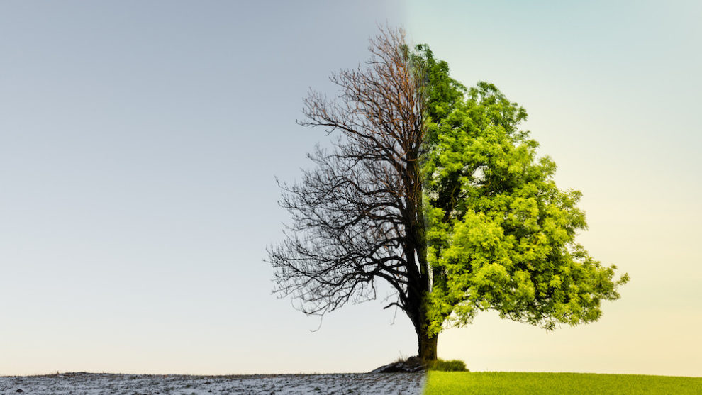 ESG – Cultura Organizacional