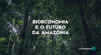 Bioeconomia e o futuro da Amazônia – como negócios sustentáveis podem ajudar a salvar a floresta