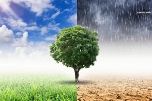 Como pequenas empresas podem ajudar a combater a crise climática