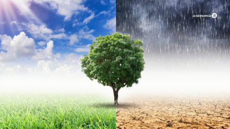 Como pequenas empresas podem ajudar a combater a crise climática