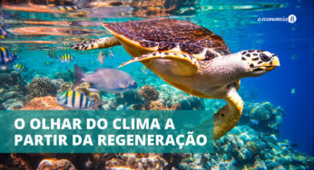 “Sustentabilidade já foi. Esquece. Agora é a hora da regeneração!”