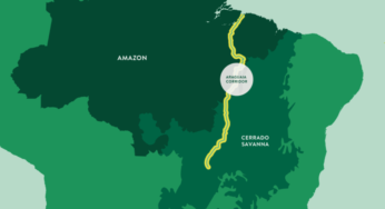 O caminho da Movida para ser carbono neutro até 2030