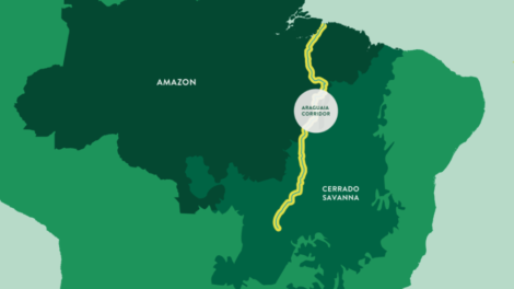 corredor do araguaia
