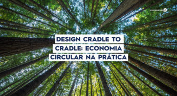 Design Cradle to Cradle: economia circular na prática