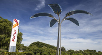 Como construir uma cultura ESG a partir da Agenda 2030