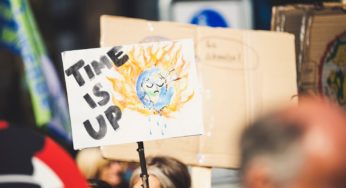 Como empreender e investir com impacto ambiental positivo no Brasil?