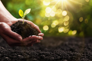 Compensação de carbono com impacto social