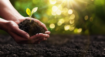 Compensação de carbono com impacto social e como esforço coletivo