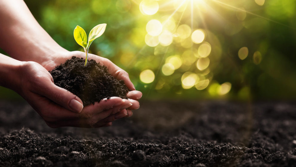 Compensação de carbono com impacto social