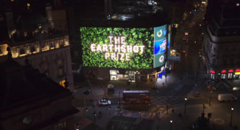 5 soluções ambientais conquistam Earthshot Prize, prêmio milionário concedido pela realeza britânica