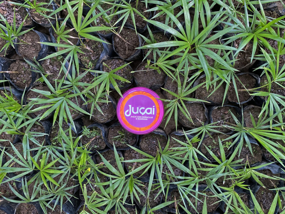 Juçaí