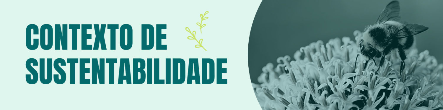 relatórios de sustentabilidade