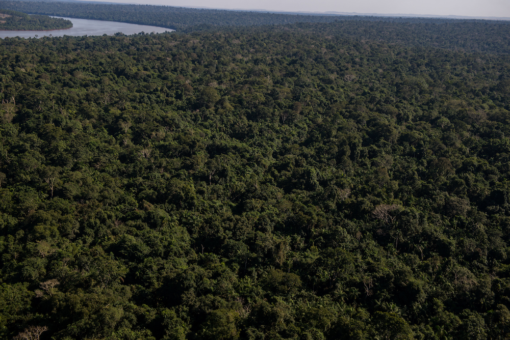 Estrada do Colono e Parque Nacional do Iguaçu - Foto Marcos Labanca (10)