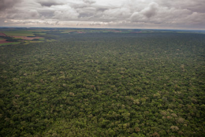 Parque Nacional do Iguaçu e Estrada do Colono - Foto Marcos Labanca (33)