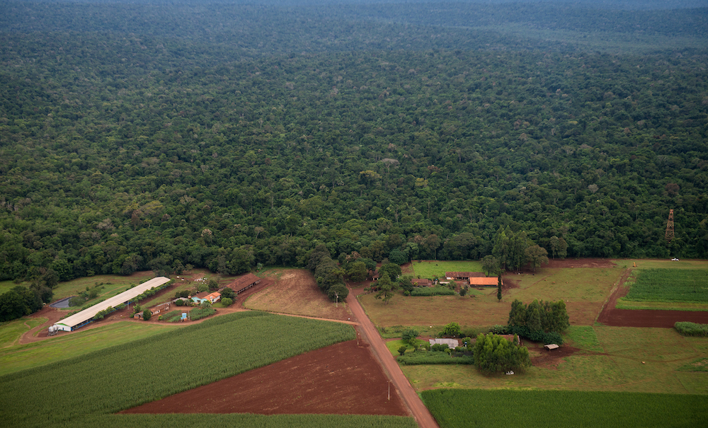 Parque Nacional do Iguaçu e Estrada do Colono - Foto Marcos Labanca (44)