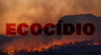 Estocolmo+50 Climate Hub: a luta para tornar ecocídio um crime internacional