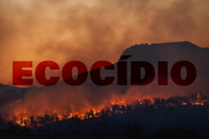 lei de ecocídio