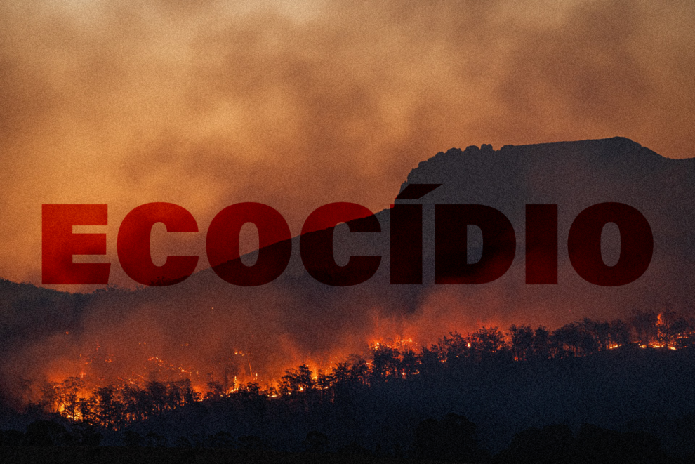 lei de ecocídio