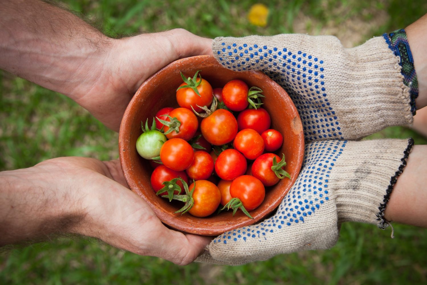 Tendências de consumo e sustentabilidade