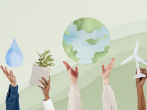 O que aprendi conversando sobre sustentabilidade com mais de mil empresas