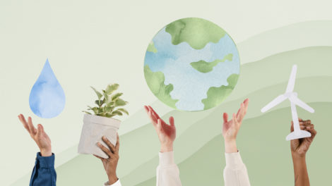 O que aprendi conversando sobre sustentabilidade com mais de mil empresas
