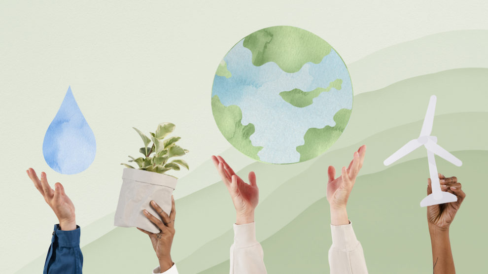 O que aprendi conversando sobre sustentabilidade com mais de mil empresas