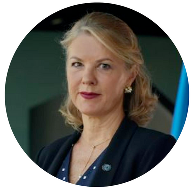 COP27