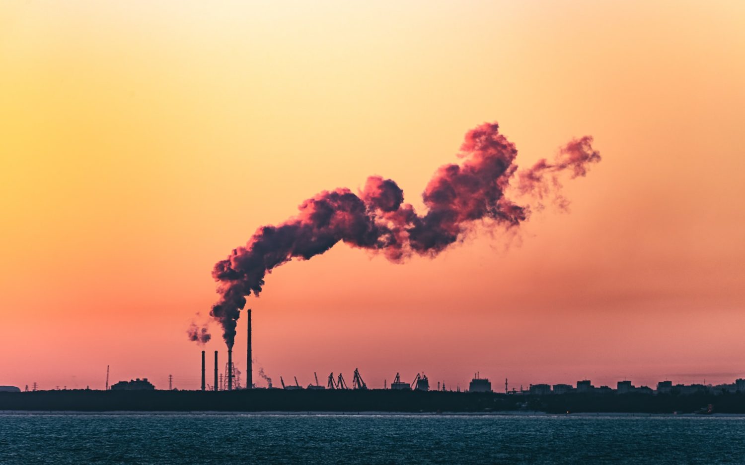COP27