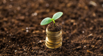 Governo federal lança programa para impulsionar investimentos verdes