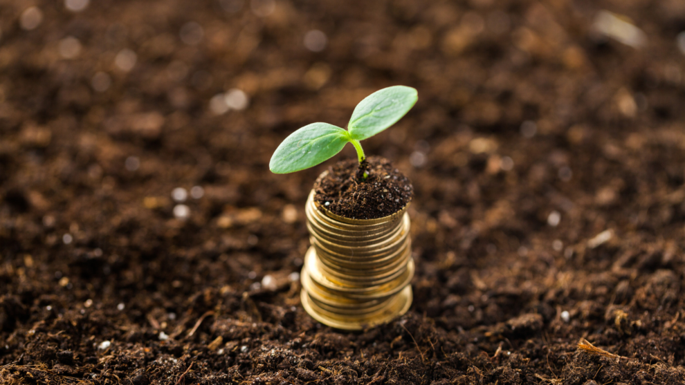 Governo federal lança programa para impulsionar investimentos verdes