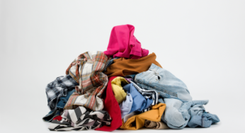 Liberdade, igualdade, fraternidade e sustentabilidade