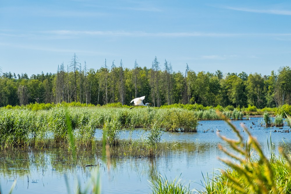 Proteção da biodiversidade e dos ecossistemas