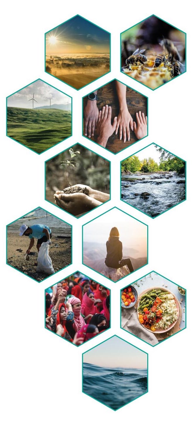 Earth Action Report – 11 prioridades para mudanças sistêmicas