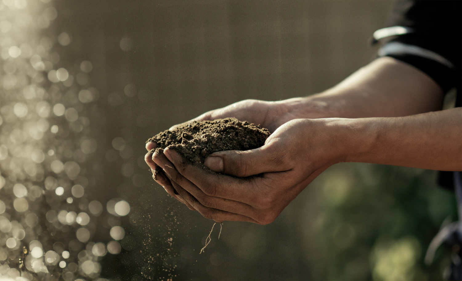 inteligência artificial agricultura regenerativa