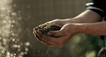 Os negócios e o meio ambiente: como diferentes setores impactam a natureza – e dependem dela