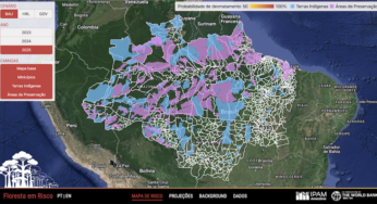 Plataforma Floresta em Risco “prevê” desmatamento na Amazônia