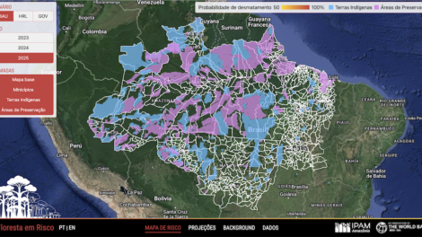 Floresta em risco "prevê" desmatamento na Amazônia