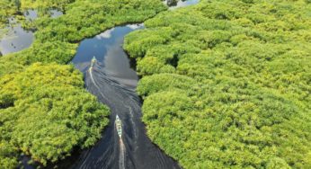 Inteligência Ancestral: uma IA fundamental em tempos de emergência climática e policrise