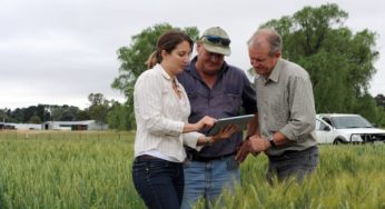 Ferramenta auxilia agricultores australianos a entender riscos das mudanças climáticas