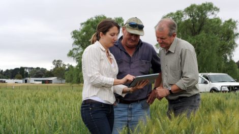My Climate View: Ferramenta auxilia agricultores australianos a entender riscos das mudanças climáticas
