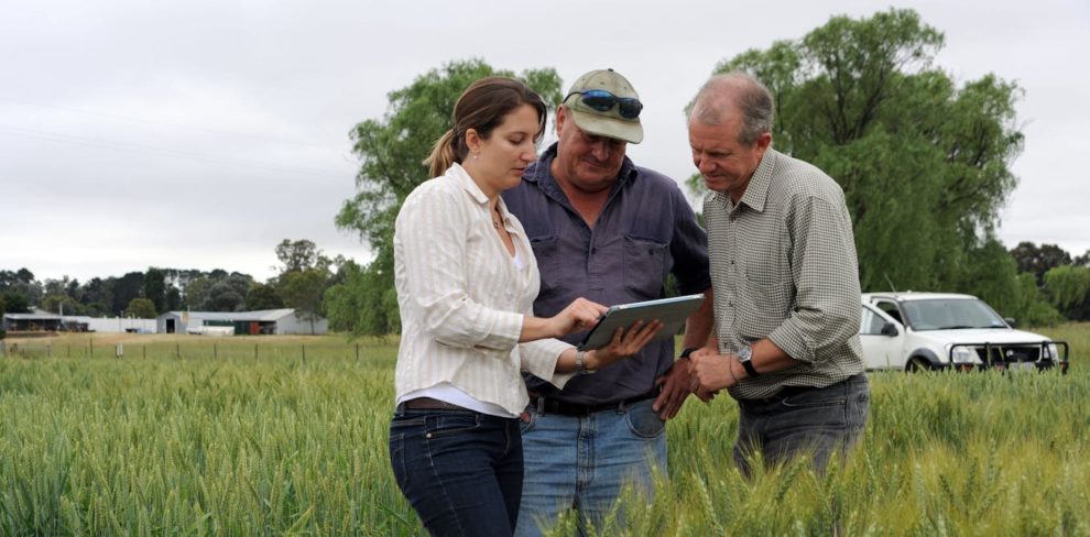 My Climate View: Ferramenta auxilia agricultores australianos a entender riscos das mudanças climáticas