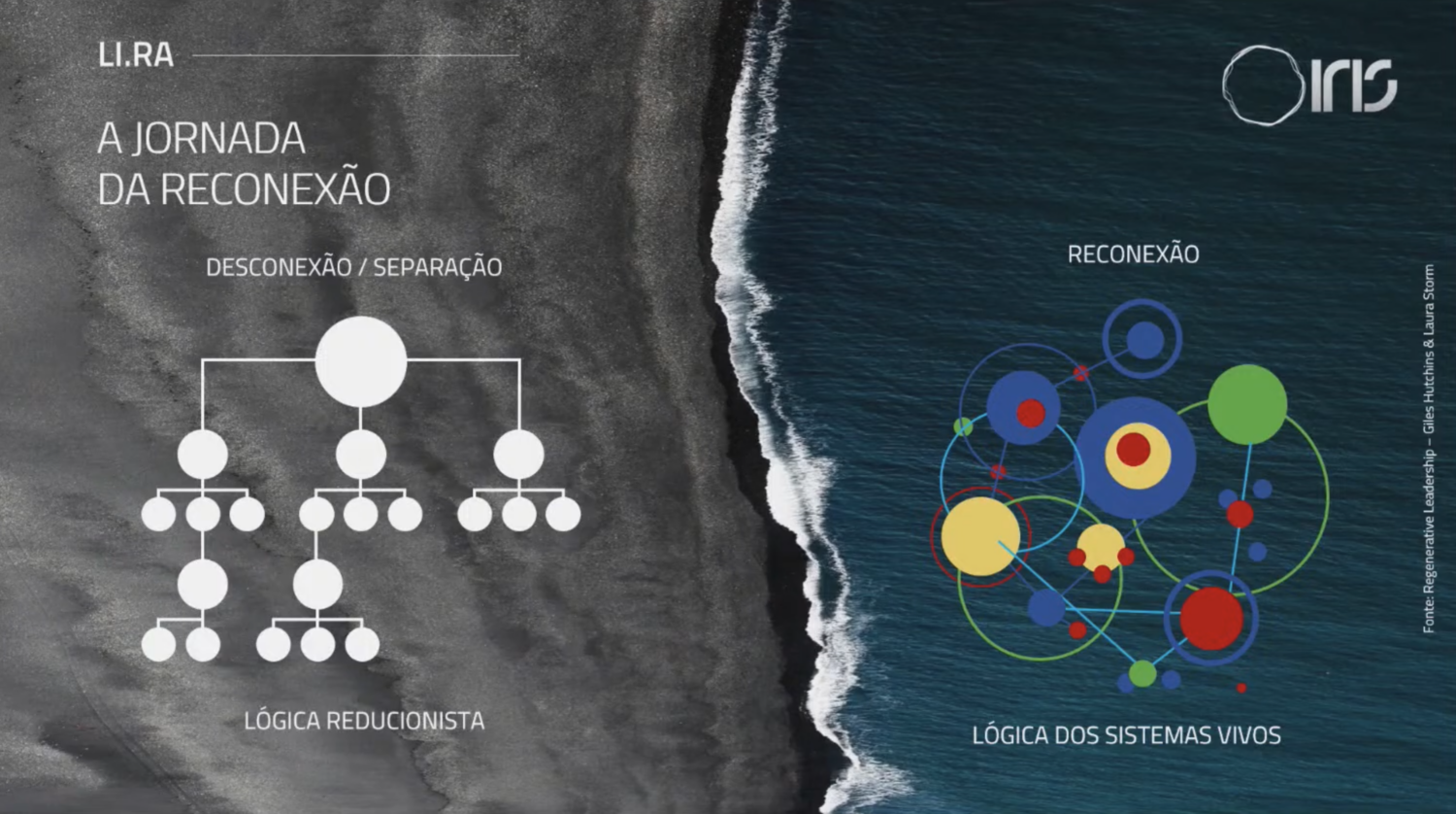 Liderança regenerativa: é preciso reconectar
