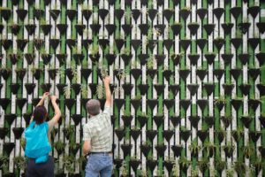 ciência comportamental e mudanças climáticas