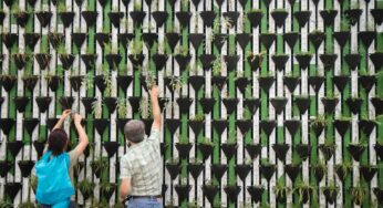 O potencial da ciência comportamental na mitigação das mudanças climáticas