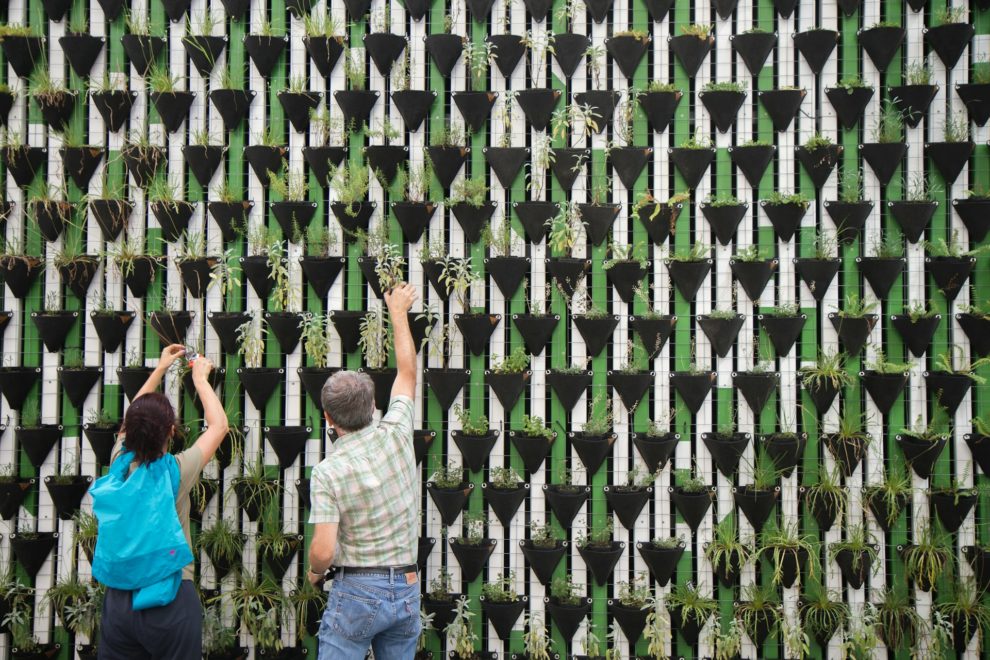ciência comportamental e mudanças climáticas
