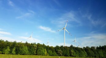 Economia verde tem recorde de investimentos e crescimento acelerado