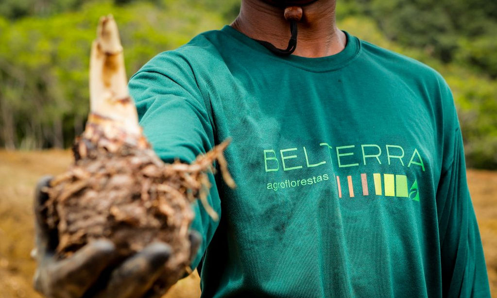agricultura regenerativa