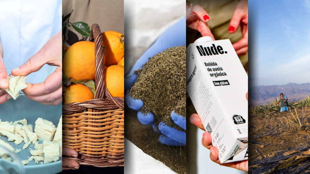 5 foodtechs de impacto que estão revolucionando o setor de alimentos